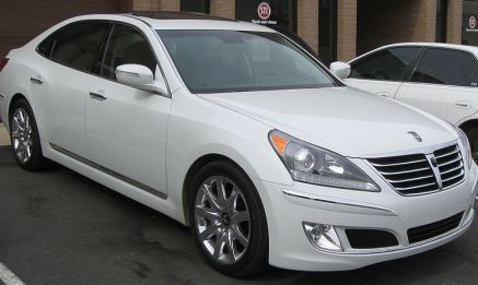 Equus 6